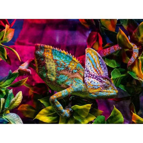 Colourful Animals Chameleon 500pc Jigsaw Puzzle Extra Image 1